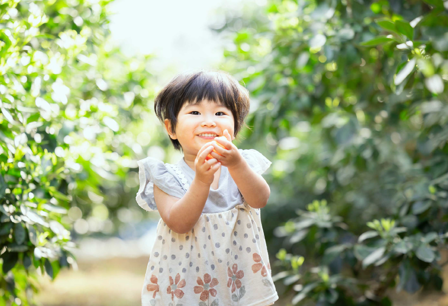 ハウスみかん・温室みかんが美味しい理由