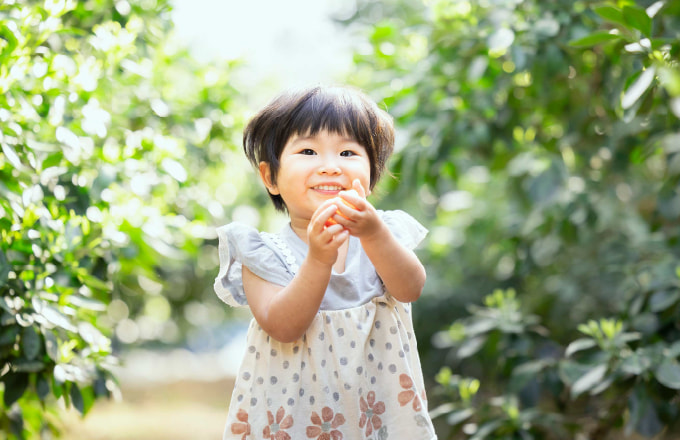 ハウスみかん・温室みかんが美味しい理由