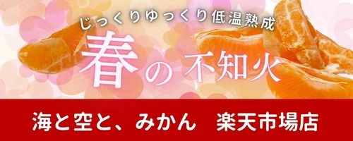 海と空とみかん楽天市場店