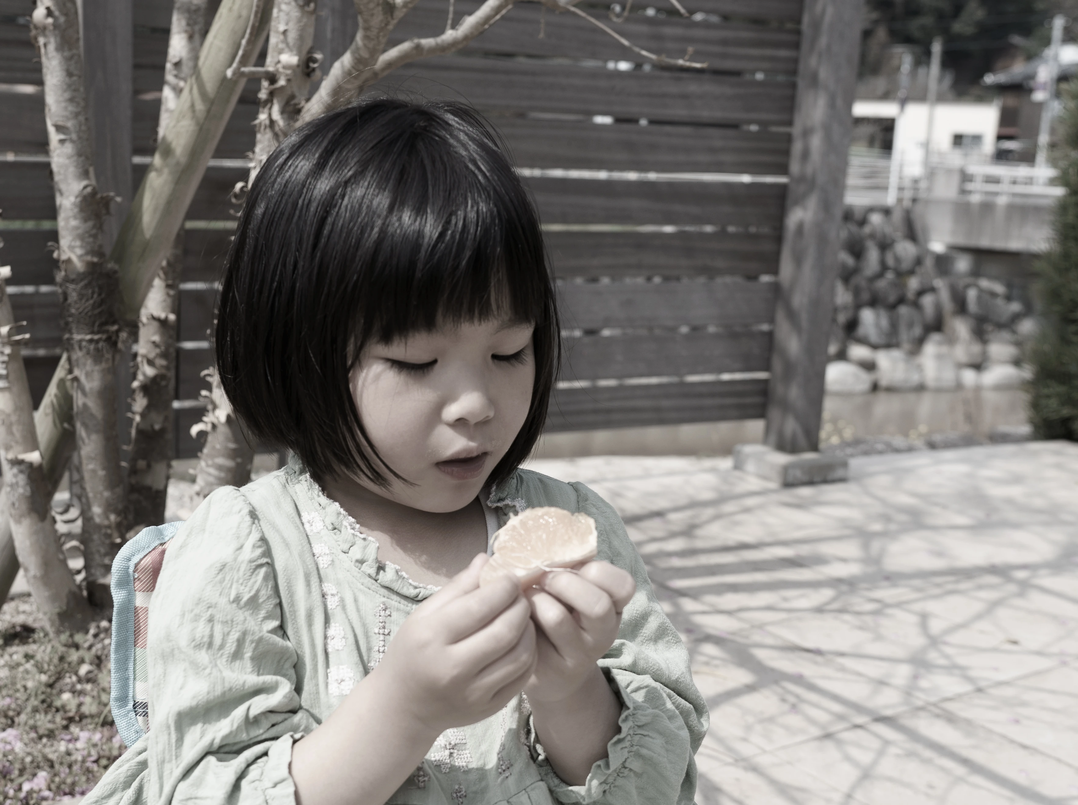 【農家の知恵】思ったより酸っぱかった。そんな不知火（デコポン）を、お家で甘くする方法