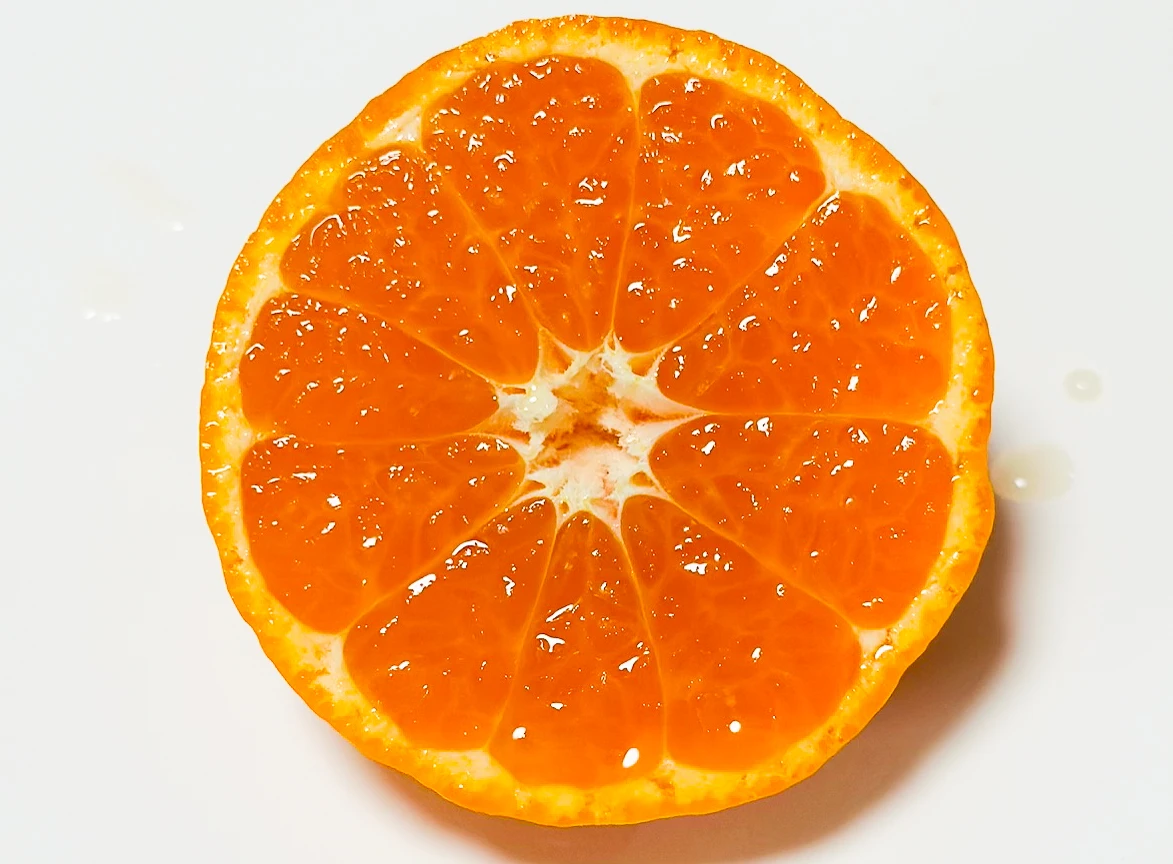 夏の疲れを癒やすやさしい甘さ。お中元のフルーツ通販に「ハウスみかん」が選ばれる理由