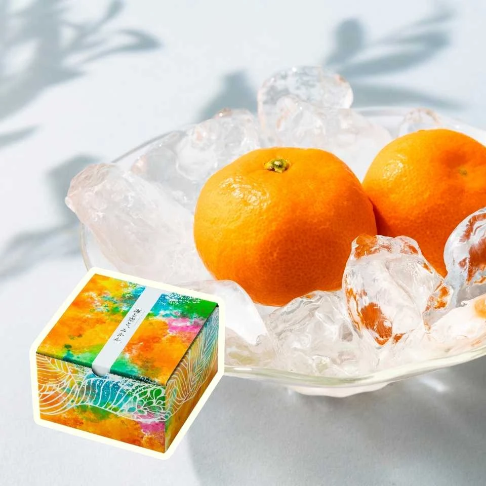 ハウスみかん夏織｜ギフト｜1.3kg