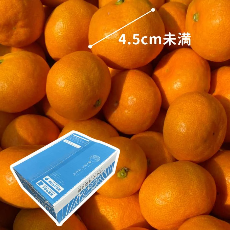 ハウスみかん夏織｜小玉｜4.5kg