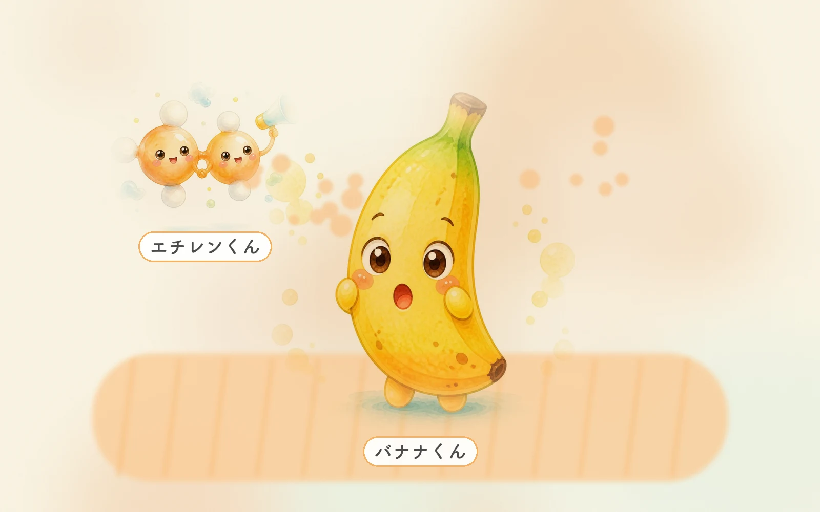 エチレン バナナ 熟す 絵本