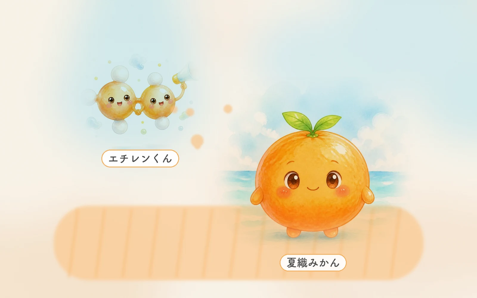 エチレン みかん 追熟しない 絵本