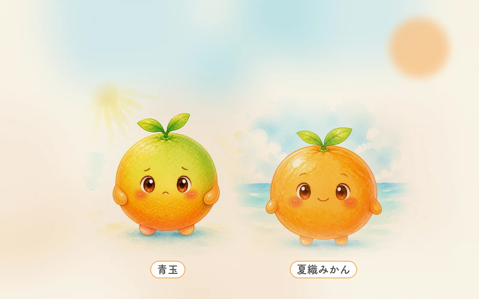 ハウスみかん 青玉 皮 緑 絵本